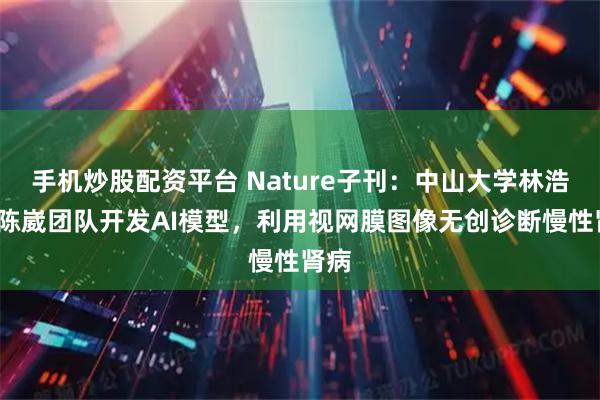 手机炒股配资平台 Nature子刊：中山大学林浩添/陈崴团队开发AI模型，利用视网膜图像无创诊断慢性肾病