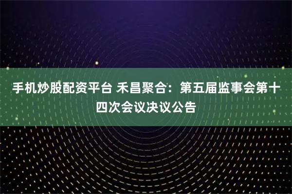 手机炒股配资平台 禾昌聚合：第五届监事会第十四次会议决议公告