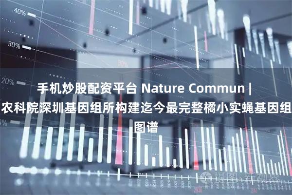 手机炒股配资平台 Nature Commun | 中国农科院深圳基因组所构建迄今最完整橘小实蝇基因组图谱