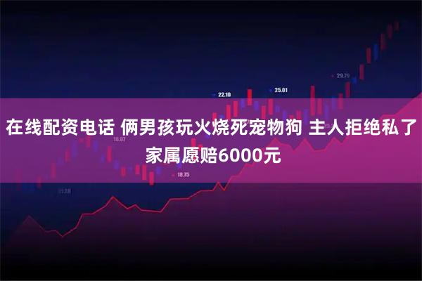 在线配资电话 俩男孩玩火烧死宠物狗 主人拒绝私了 家属愿赔6000元