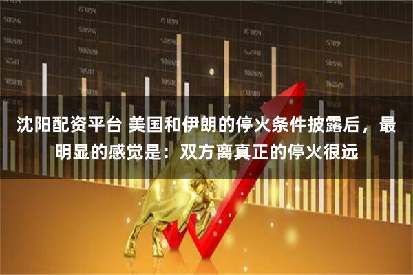 沈阳配资平台 美国和伊朗的停火条件披露后，最明显的感觉是：双方离真正的停火很远